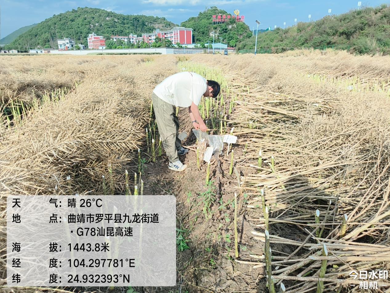 mmexport1747658030691