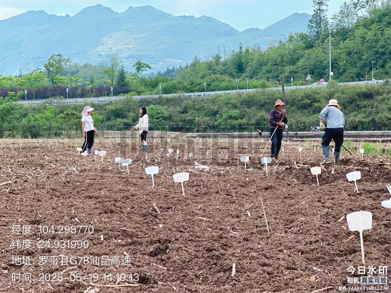 IMG_20250512_103437875