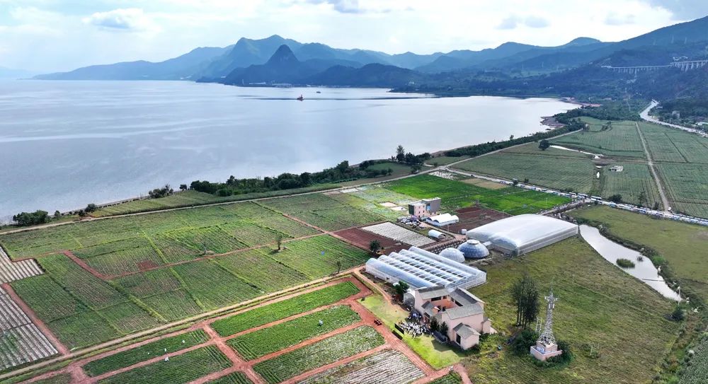 e25e284cd633a85b734a1f815acbcf7