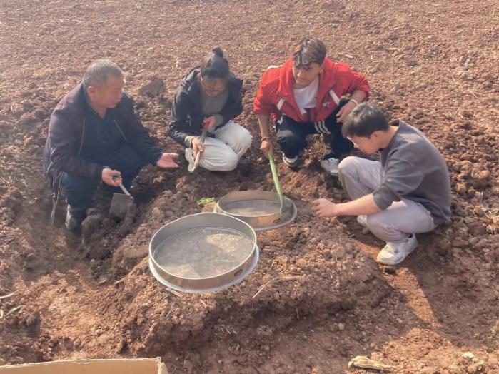 112266f6d42c3bb4665d9b62ee0024e