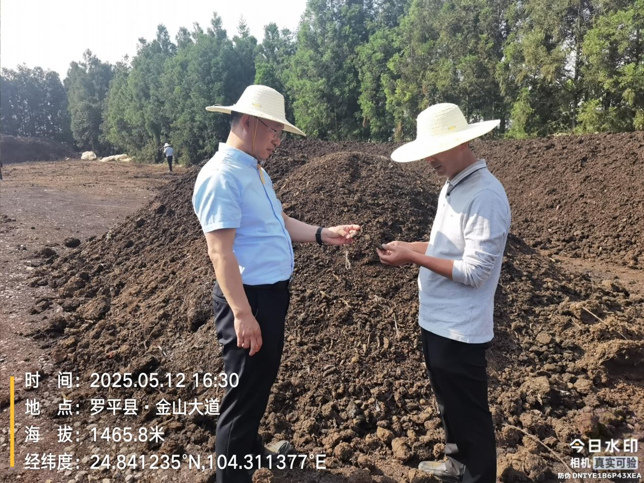 IMG_20250507_172442786